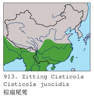 ����βݺ�������ֲ�ͼ