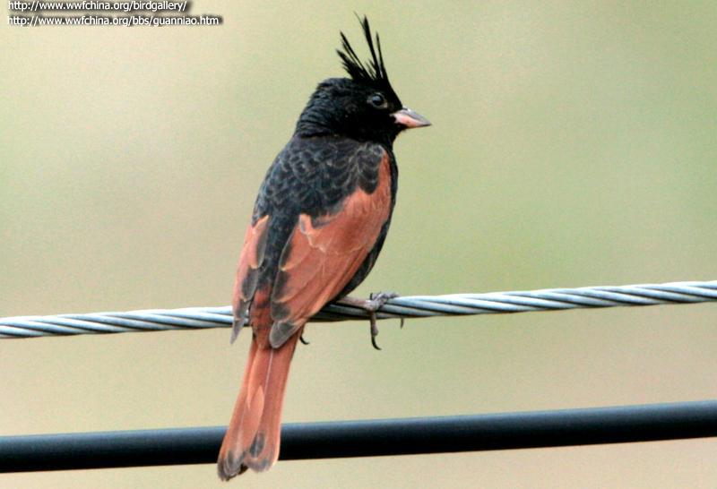 ��ͷ�c������Ӱ��Ȥ������ص㣺���� �޵飬����ʱ�䣺20090512