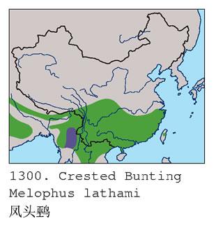 ��ͷ�c�������ֲ�ͼ