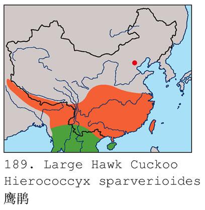 ӥ�飺�����ֲ�ͼ