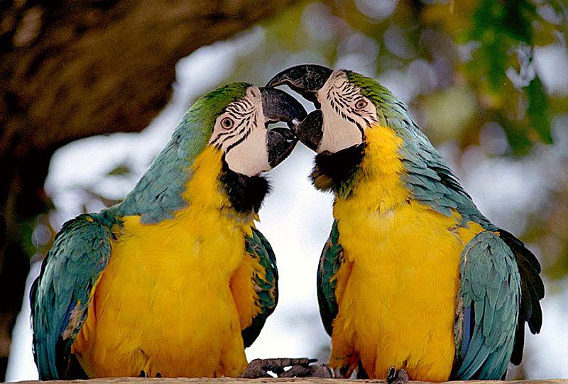 ���ĿƵ�ͼƬ