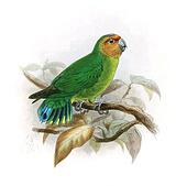 ٪������