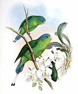 ��β������