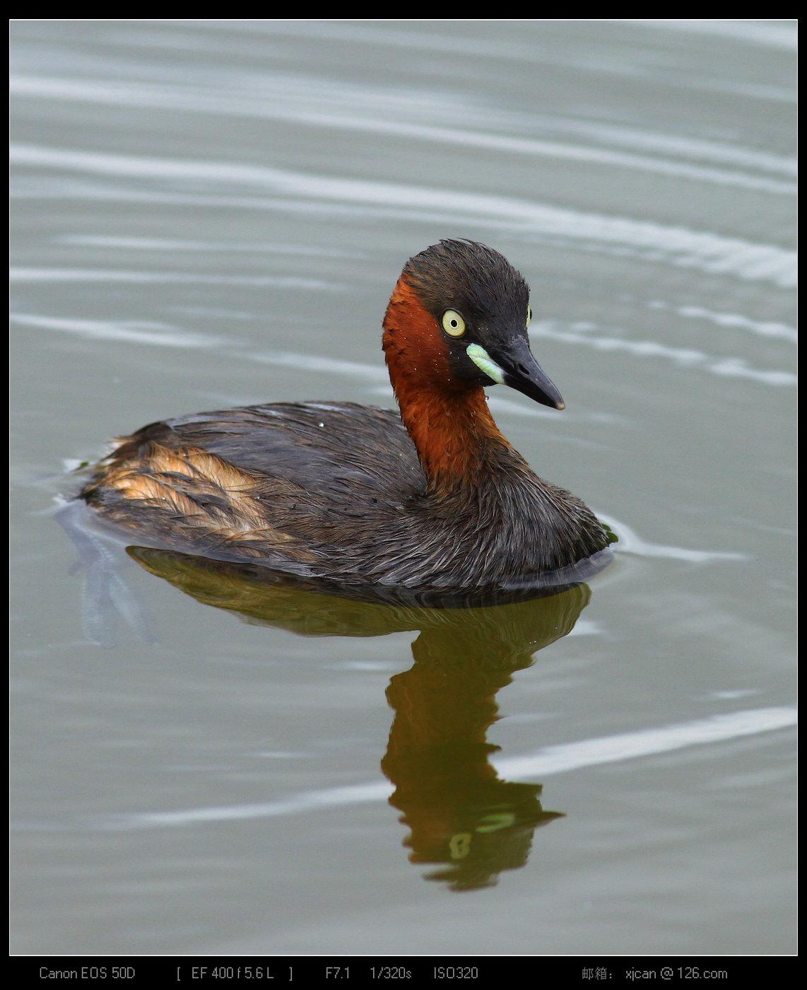 С�G�f������èèè��2010:05:06