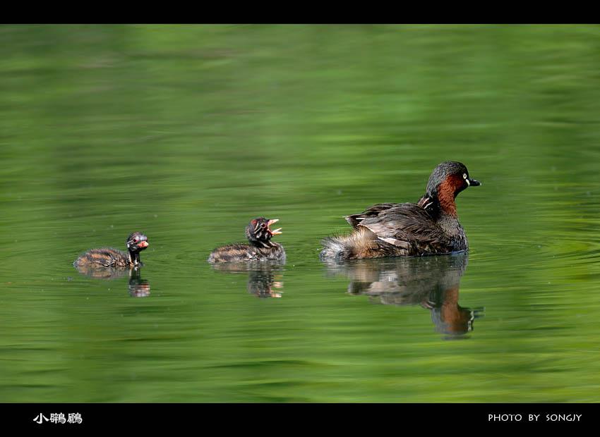 С�G�f���񣬴���ͷ�ƣ�������Ȼ֮����