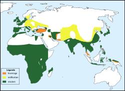 С�G�f������ֲ�ͼ