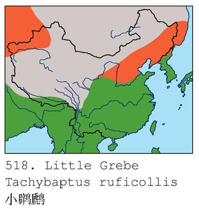 С�G�f�����ڷֲ�ͼ