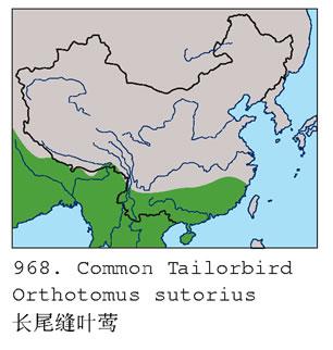 ��β��Ҷݺ�������ֲ�ͼ