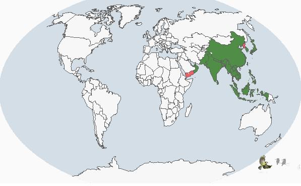 ���ؿ���񣺵����ֲ�ͼ