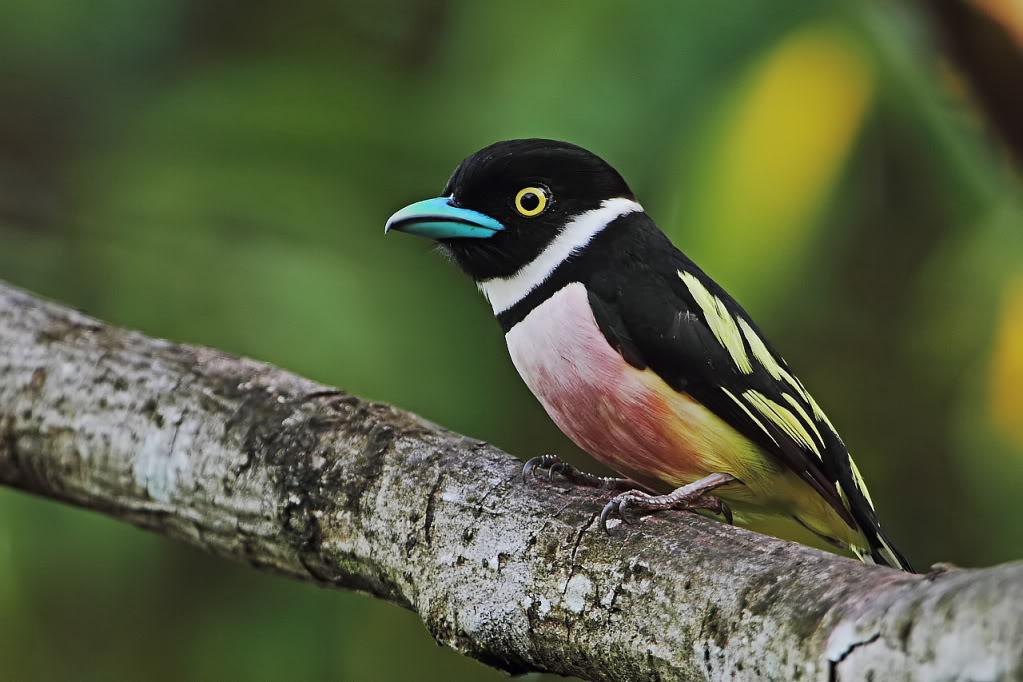 �ڻ��������ͼƬ