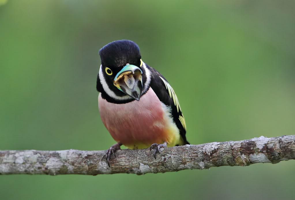 �ڻ���������ӰWahkiao