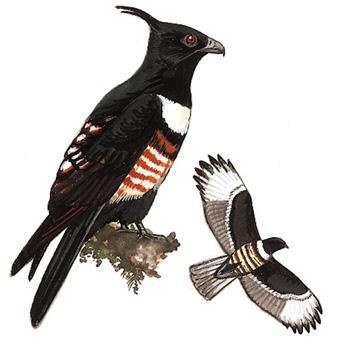 �ڹھ�������̬����ͼ