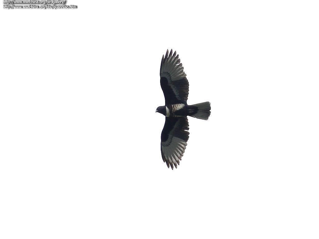 �ڹھ���������ͼ