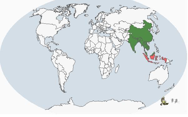 �ڹھ����ֲ�ͼ