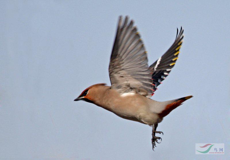 ̫ƽ��ķ���