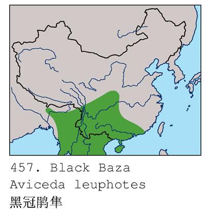 �ڹھ����������ֲ�ͼ