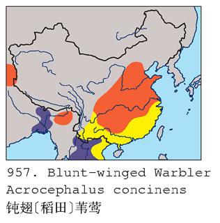 �۳�έݺ�������ֲ�ͼ