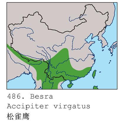 ��ȸӥ�������ֲ�ͼ