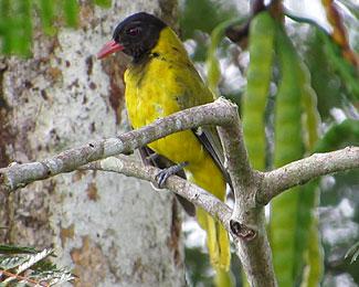 ���Ǻ�ͷ����ͼƬ