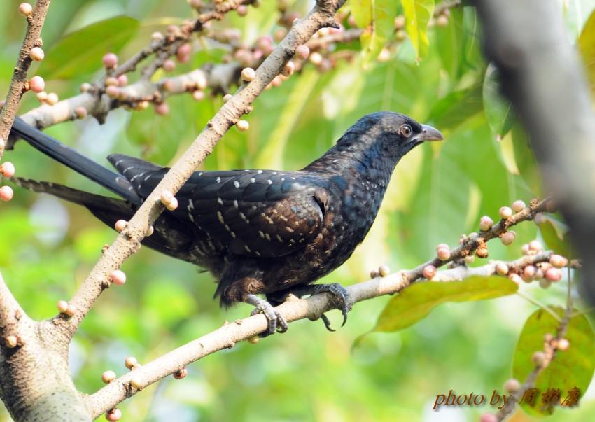 ��飺�����ǳ�