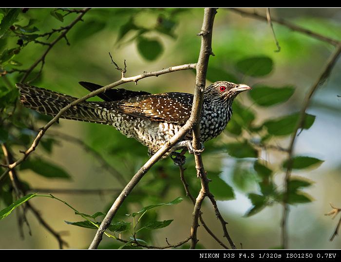 ������������֮Ե���������� : 2010:06:02