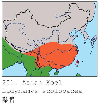 ��飺�����ֲ�ͼ