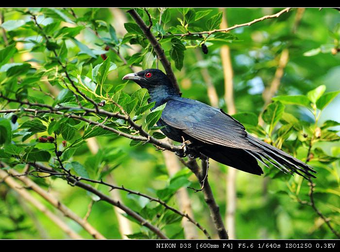 �������������֮Ե���������� : 2010:06:02