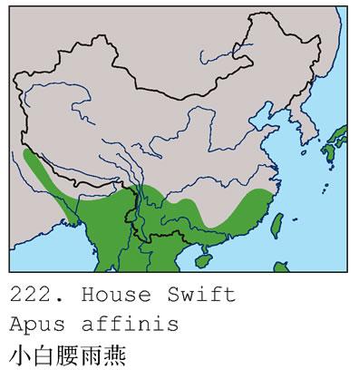 С�������ࣺ�����ֲ�ͼ