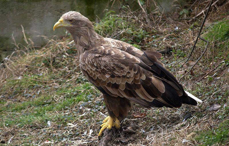 ��β�����ͼƬ