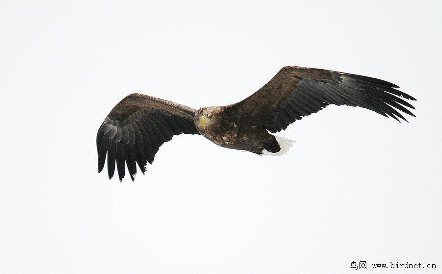 ��β������а棬��Ӱ�����ˬ