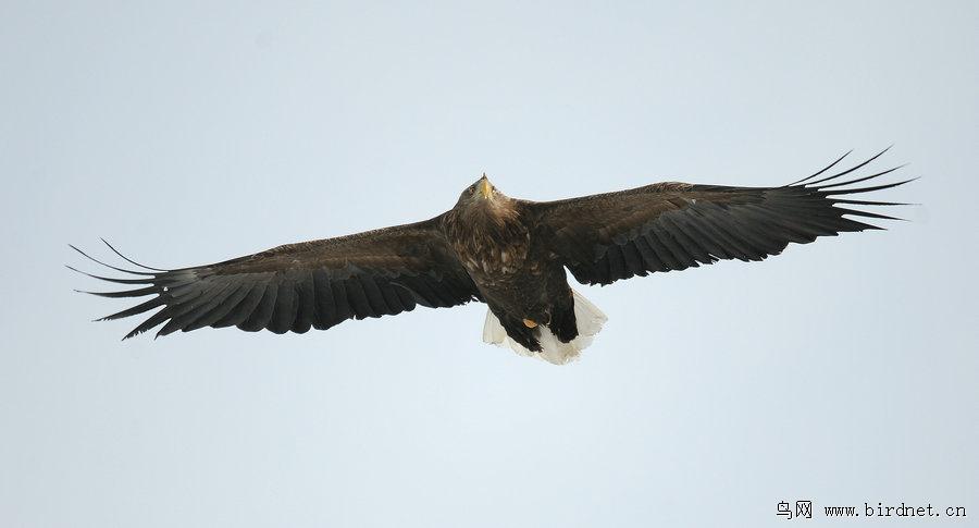 ��β������а棬��Ӱ�����ˬ