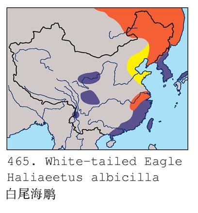 ��β���񣺵����ֲ�ͼ