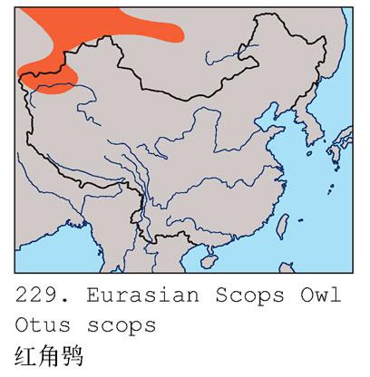 ������^�������ֲ�ͼ