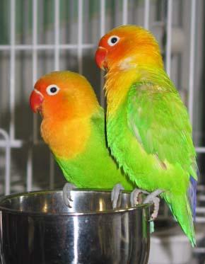 ����ĵ������