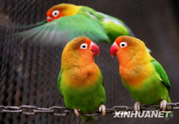 ����ĵ������