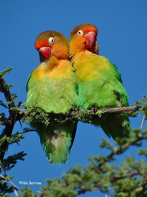 ����ĵ������