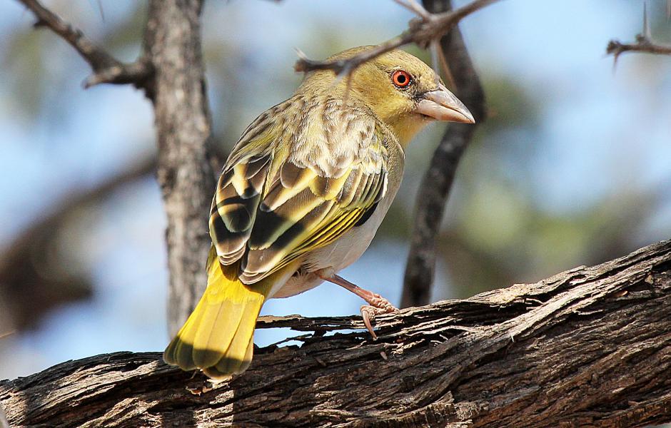 �ڶ�֯ȸ������