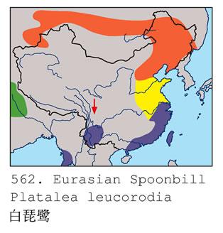 �����أ������ֲ�ͼ