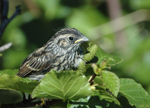 С�c����������7�£�����˹��