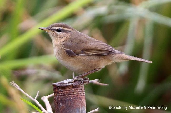 ����ݺ��ͼƬ