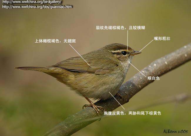 ������ݺ