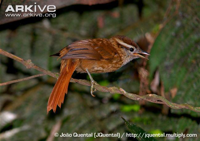 ��üʰҶȸ��ͼƬ