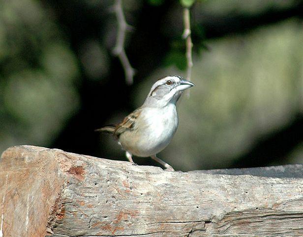 ͨ��˹ȸ�c����ͨ��˹ȸ�c