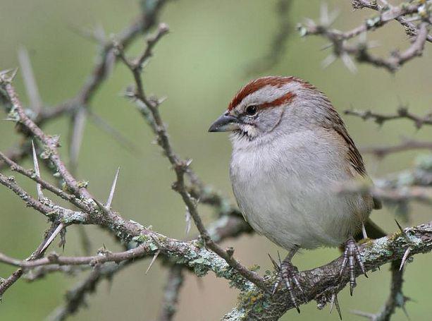 ͨ��˹ȸ�c�����ƶ�ȸ�c