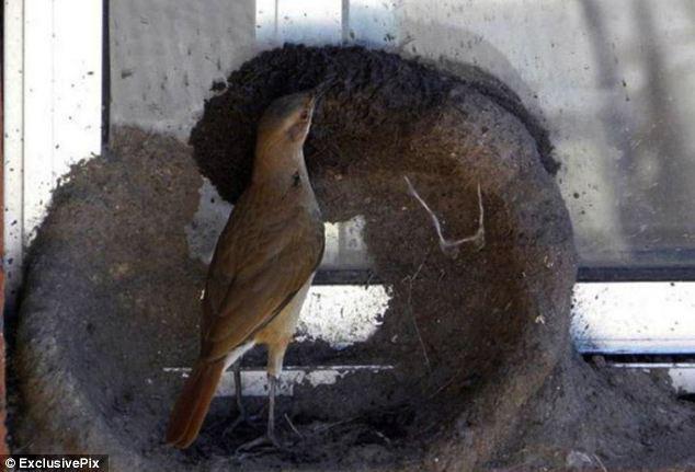 ����������