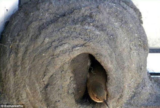 ����������