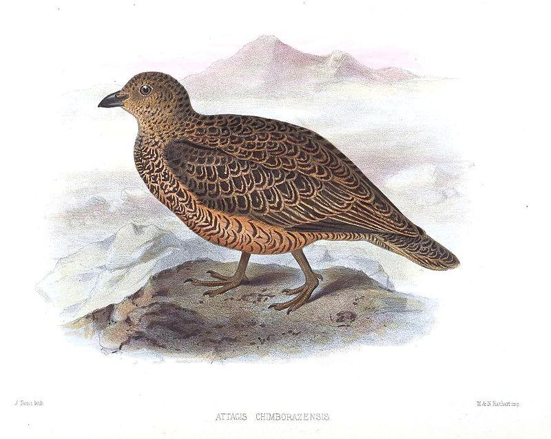 �ظ����֣���̬����ͼ