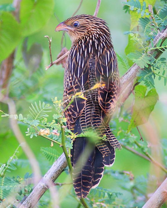 Сѻ���ǳ������ߣ�slr2006��2008��8�¡����ɱ���
