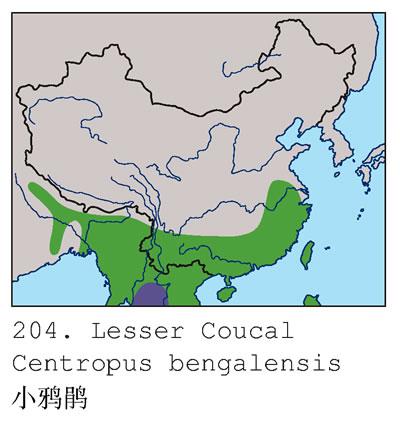 Сѻ�飺�����ֲ�ͼ