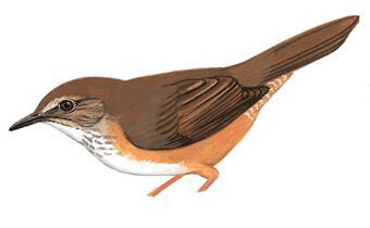 ��ɽ�̳�ݺ����������ͼ